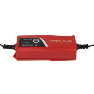Smart Charger LEM 612211