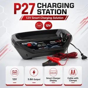 Lemania Charging Station Professional Battery Charging Unit for Garage & Workshop Use Made in Switzerland